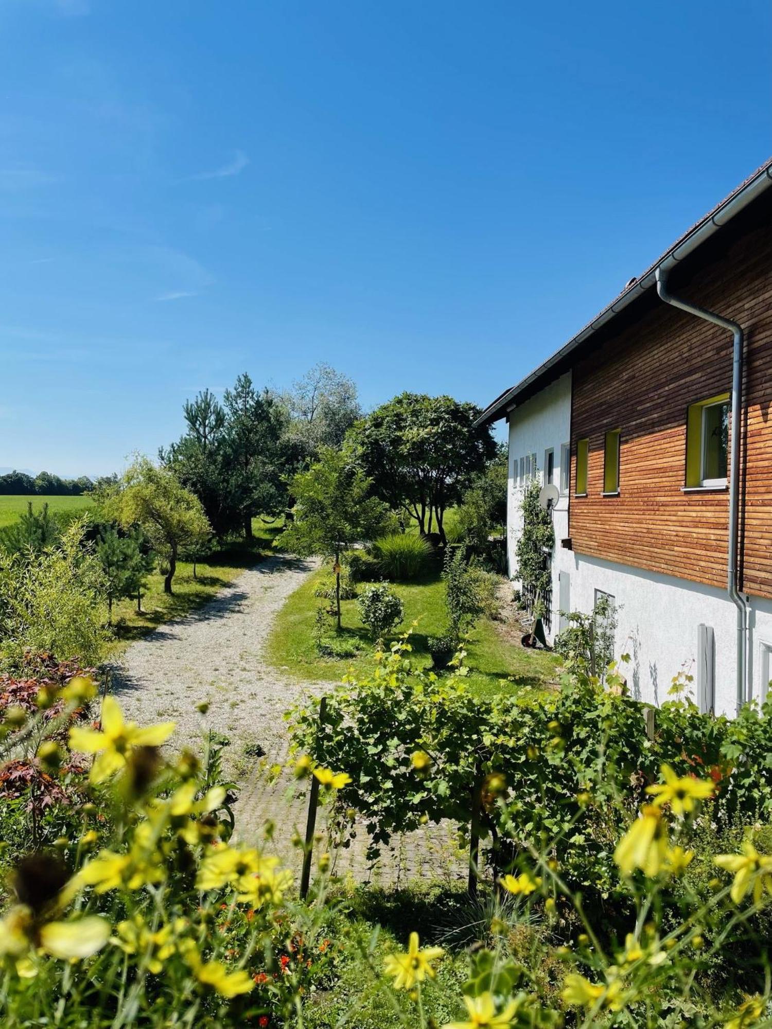 Natur-Retreat Am Leitgeringer See 蒂特莫宁 外观 照片